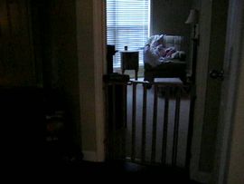 Sleeping in my crib!  (09.17.08)